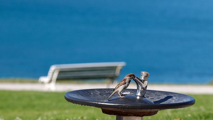 El tiempo - Continúa el tiempo estable, con sol y temperaturas altas para la época del año