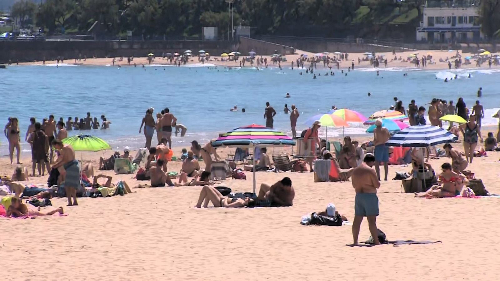 Cantabria activa la alerta roja por calor - TeleCantabria | Ver