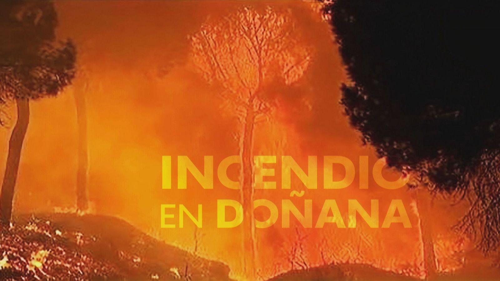 Incendios escalan en Andalucía - Noticias Andalucía | Ver