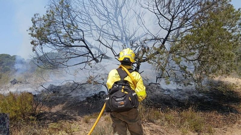 "El incendio de Doñana afecta a ecosistemas tremendamente importantes" - La tarde en 24h | Ver
