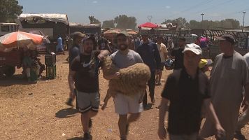 La Fiesta del Cordero vuelve a Marruecos, entre la tradici�n y la econom�a