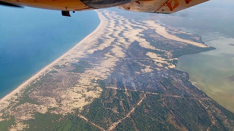 El incendio en Doñana afecta a unas 300 hectáreas de alto valor - Telediario 2 | Ver