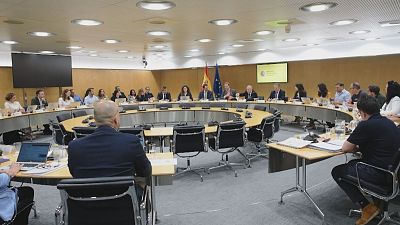 Renault: Principio de acuerdo para el nuevo convenio - Noticias de Castilla y Le�n | Ver