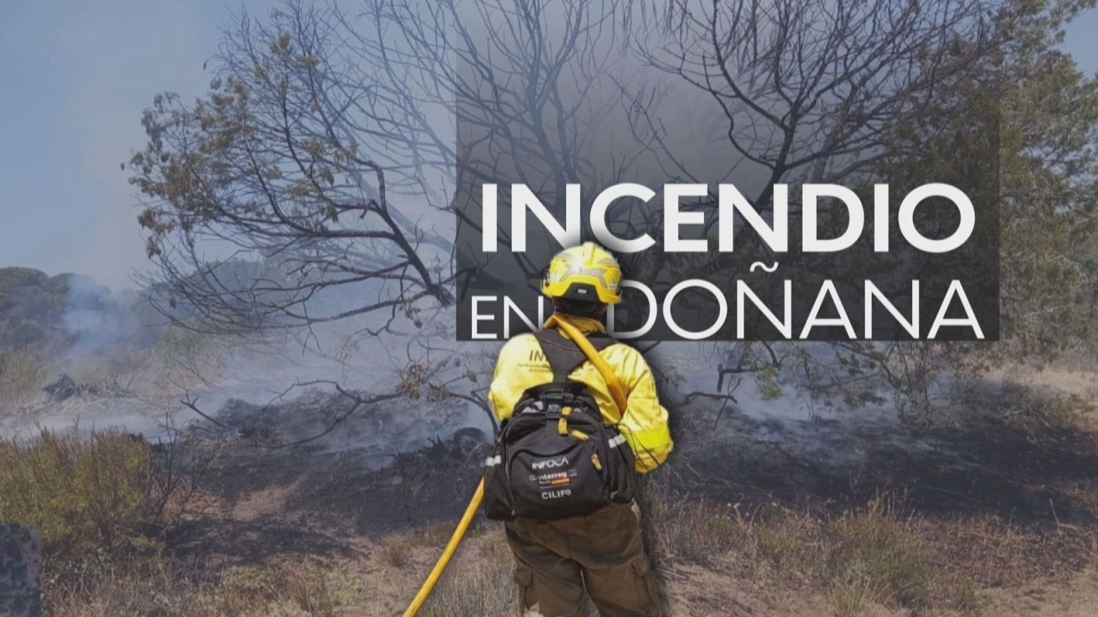 Incendio en Matalascañas - Noticias Andalucía | Ver