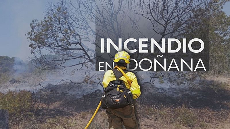 Incendio en Matalascañas - Noticias Andalucía | Ver