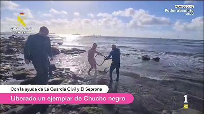 Cerca de ti - 29/05/2026