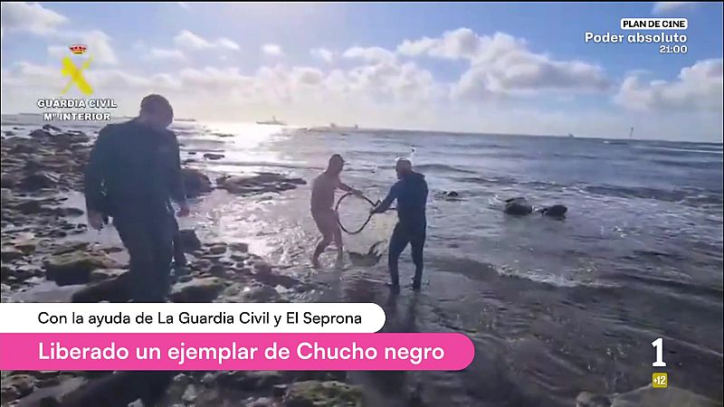 Cerca de ti - 29/05/2026