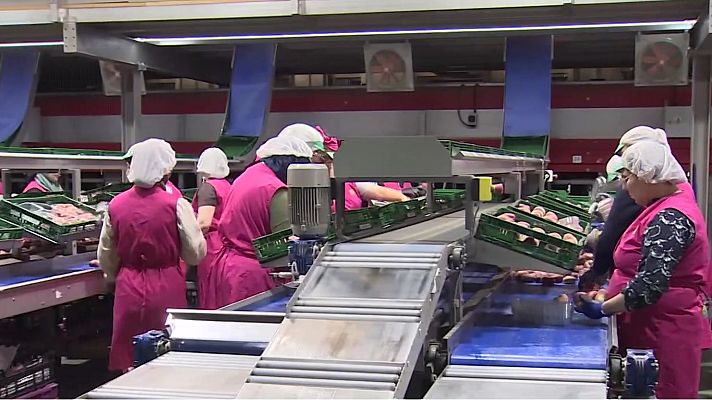 Noticias Murcia - La campaña de la fruta de hueso se prevé buena con 300 millones de kilos