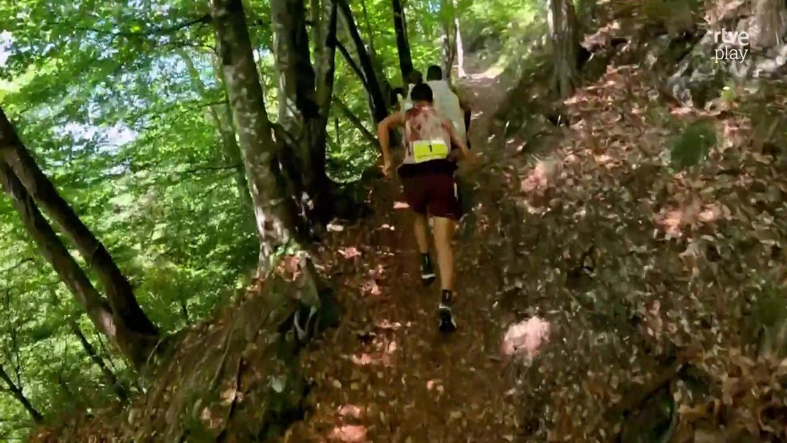 Trail - Golden World Series. Ledro Sky Trentino - Carreras de montaña | Ver