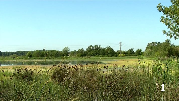 L'Informatiu - La Generalitat recupera l'Estany de Vilaüt per salvar un espai natural