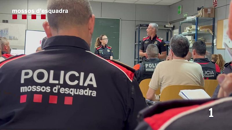 Operatius policials contra la multireincidència