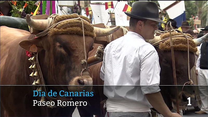 Telecanarias - 30/05/2026 | Ver