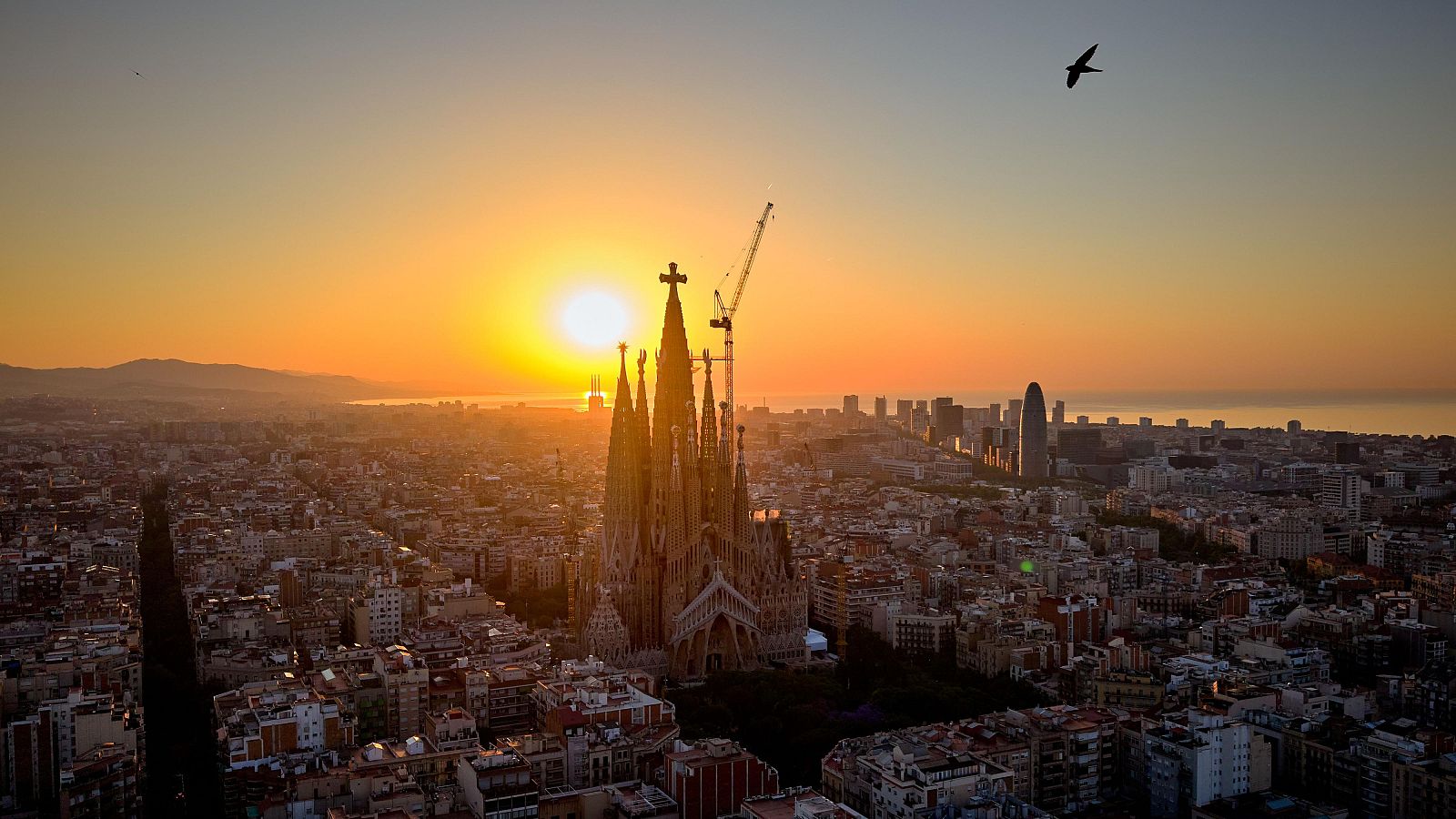 Especial en RTVE: 'Sagrada Familia. 100 años después de Gaudí" | Ver