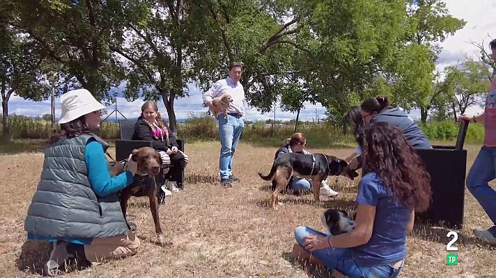 La aventura del Saber - Cuidando el vínculo entre personas y animales
