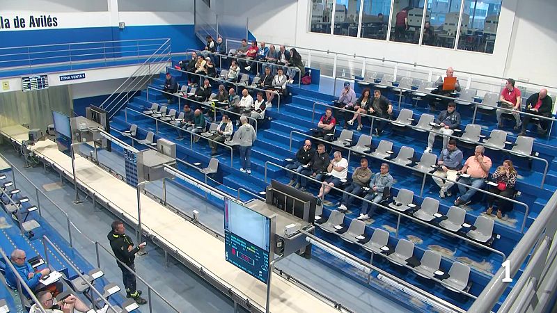 Precio récord para el primer bonito del norte: 398 euros el kilo - Panorama Regional | Ver