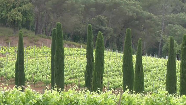 Aquí la Terra - Vinyes, macarons i vitralls