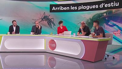 Propagació de plagues i calor extrema