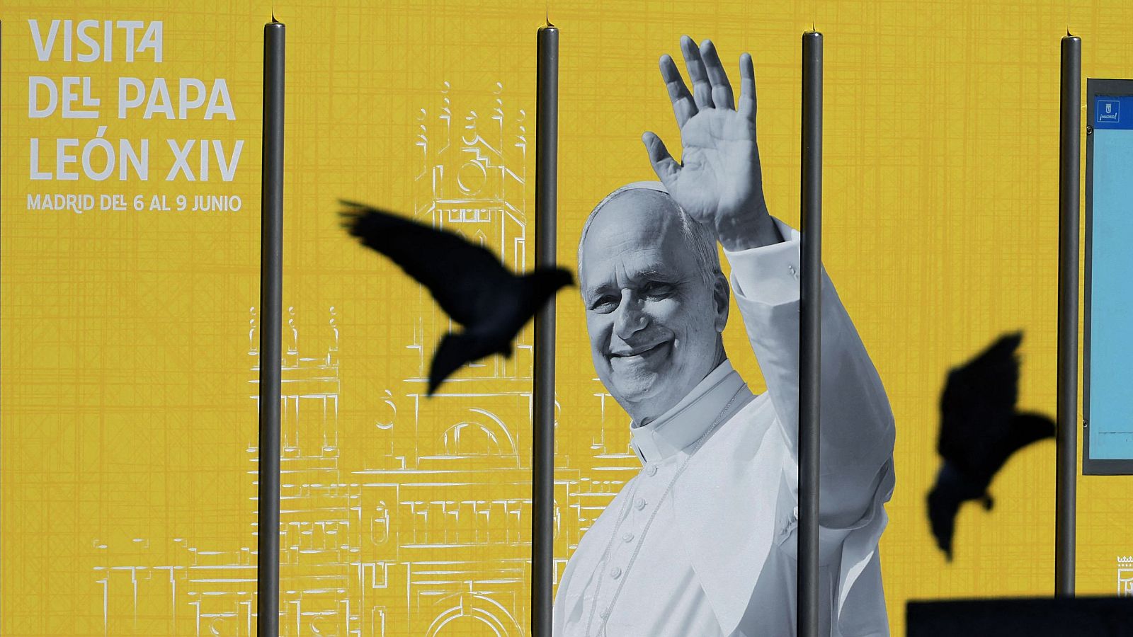 Víctimas de abusos piden una reunión con el papa | Ver