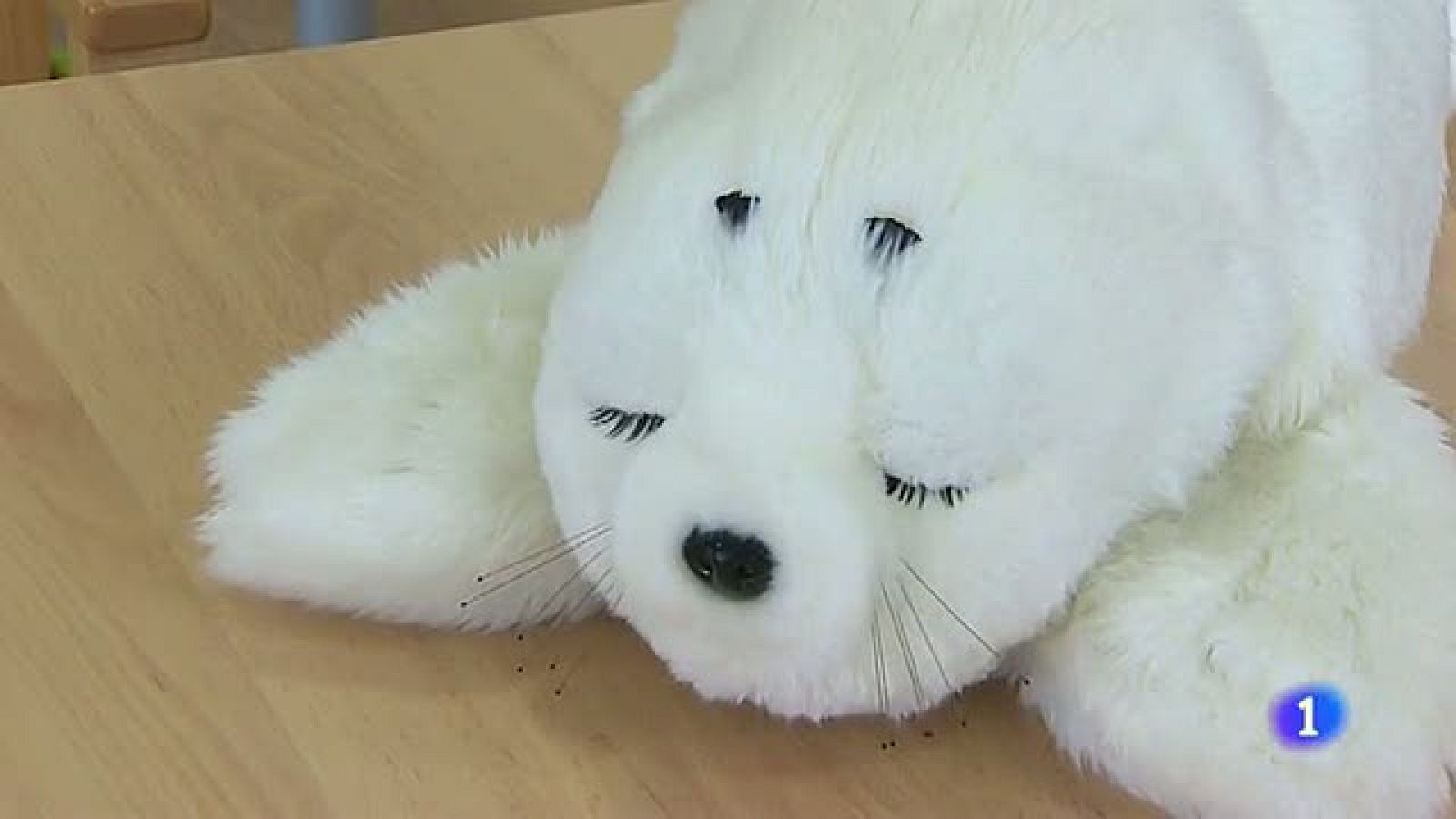 Un robot con apariencia de peluche de foca se utiliza para diferentes terapias en un centro de mayores