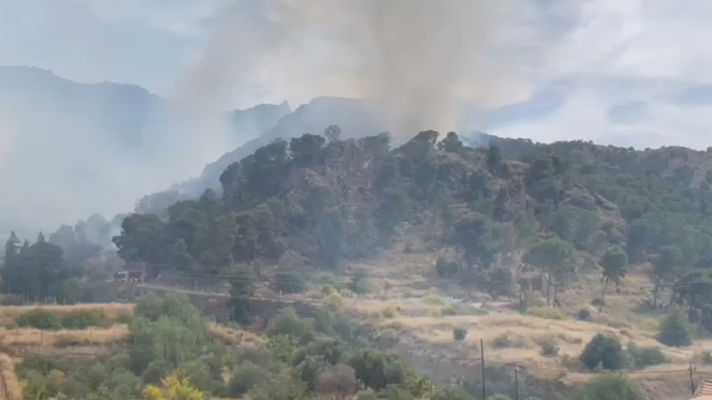 Noticias Aragón - Determinar el riesgo de incendios por la humedad de la vegetación