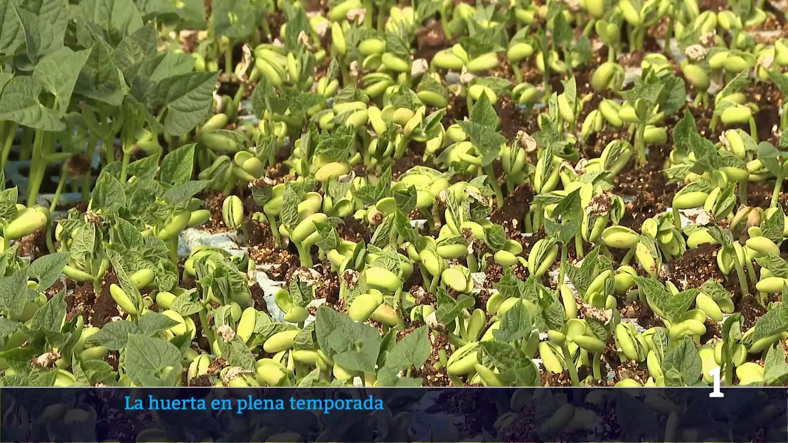 Informativo Telerioja 2 - 03/06/26 | Ver