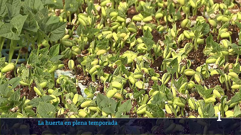 Informativo Telerioja 2 - 03/06/26 | Ver