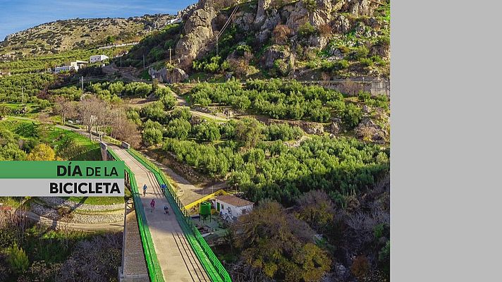 Noticias Andalucía - Día Mundial de la Bicicleta