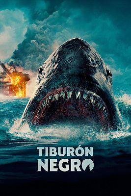 Tiburón negro