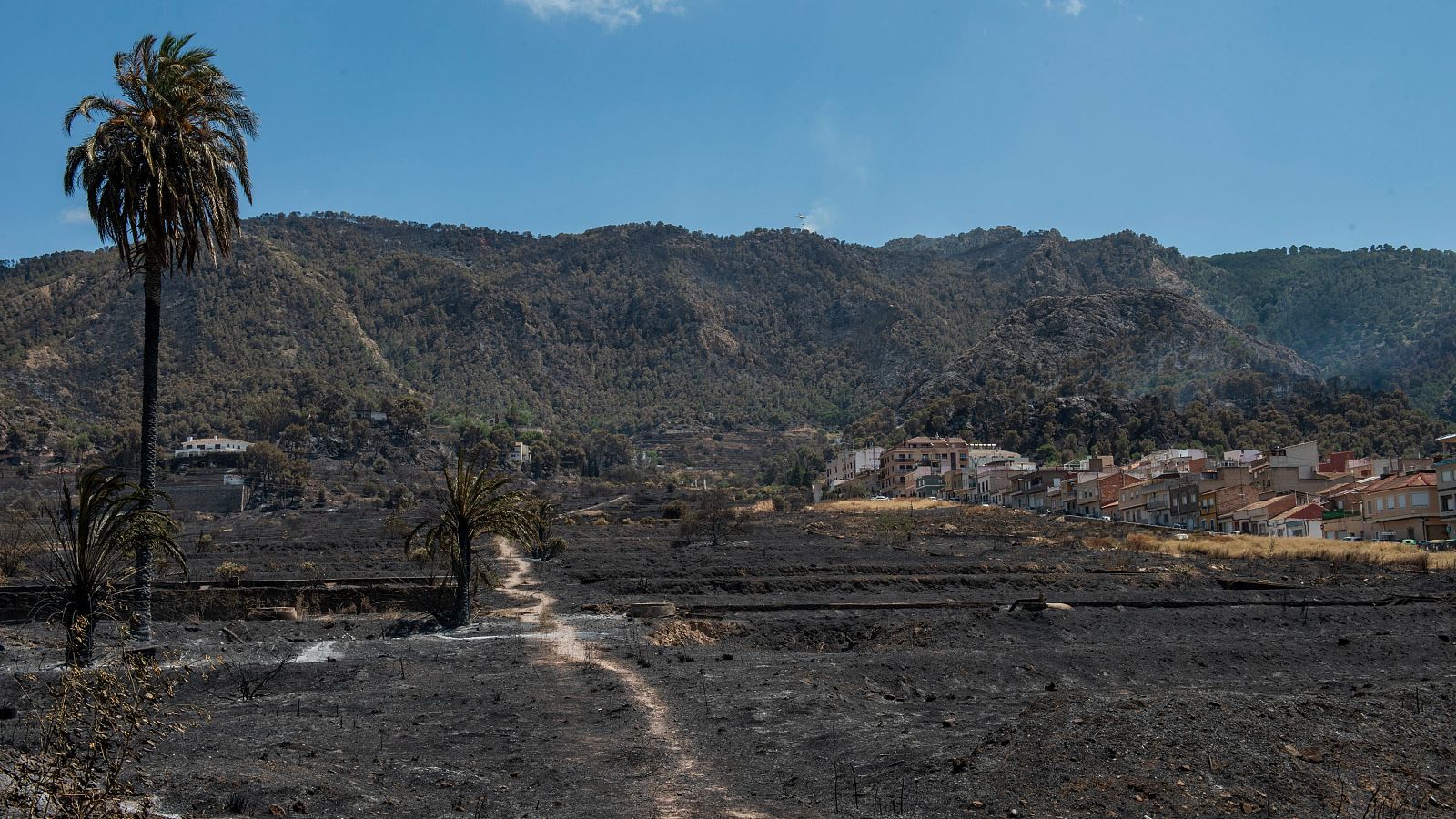 Murcia mantiene el dispositivo del incendio en Los Garres - Informativo 24h | Ver