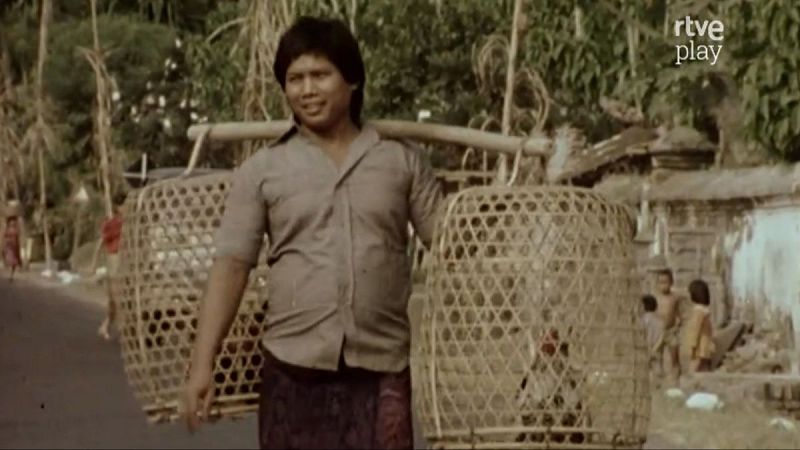 Hombre con yugo y jaulas de aves en carretera rural tropical, observado por ni�os. Logo de RTVE Play visible.