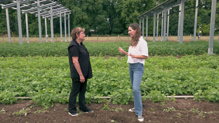 Aquí la Tierra - ¿Qué es la agrivoltaica?
