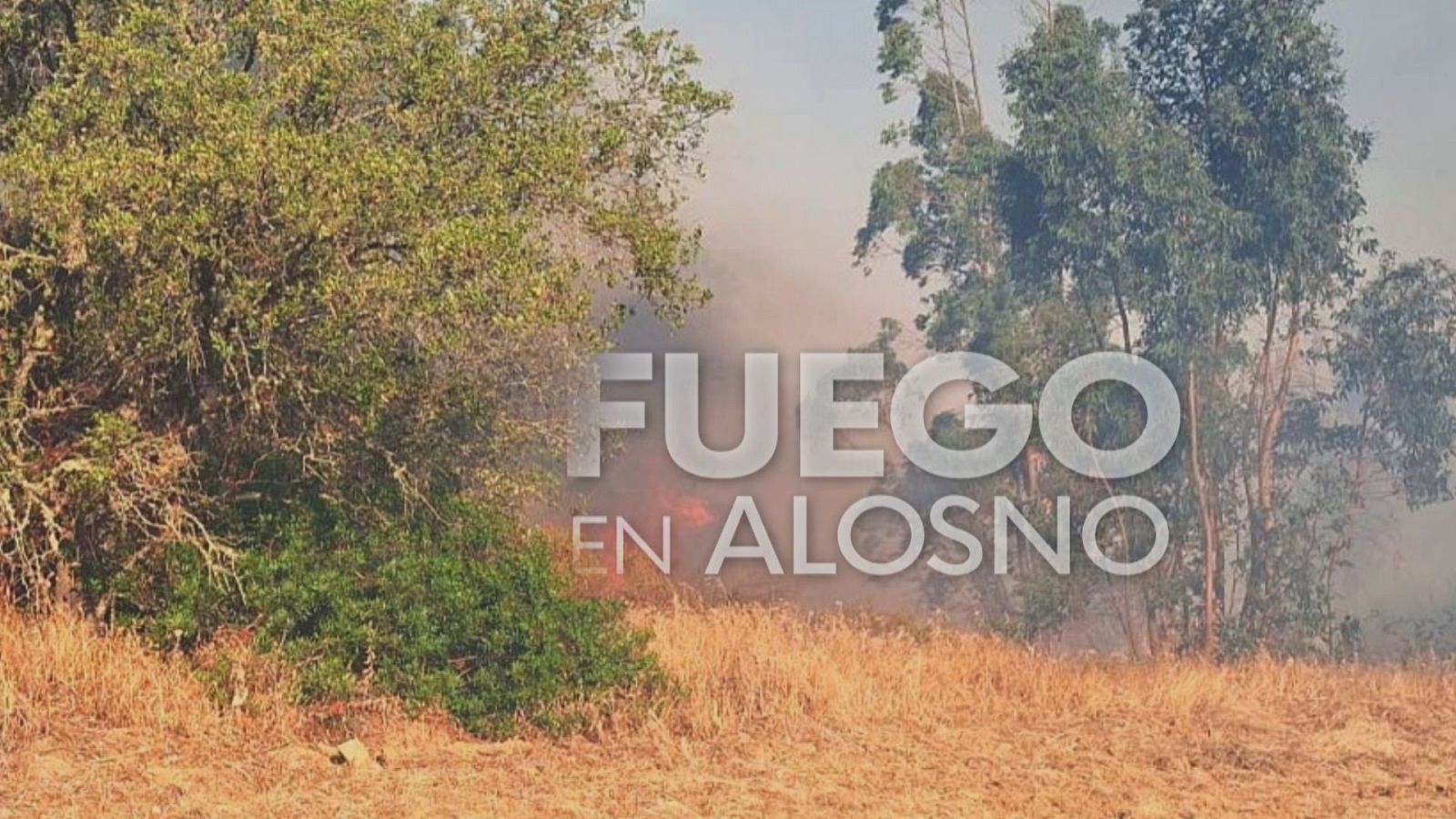 El Fuego continúa activo en Huelva - Noticias Andalucía | Ver