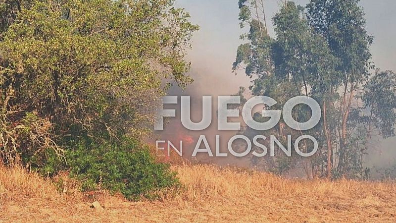 El Fuego continúa activo en Huelva - Noticias Andalucía | Ver