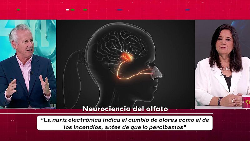 Objetivo Planeta - Neurociencia del olfato - Objetivo Planeta | Ver