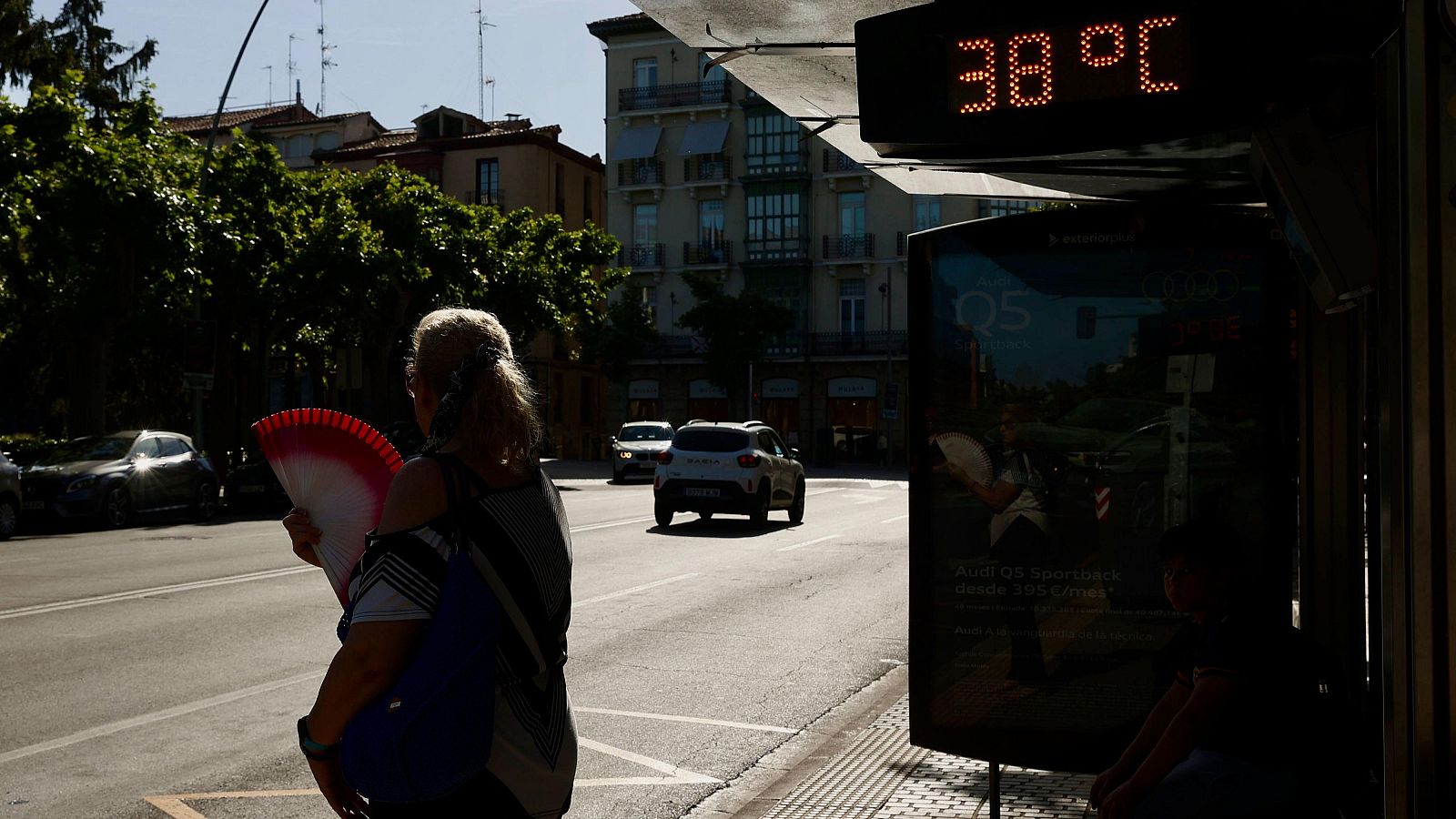 Los naranjos hacen que baje la temperatura, según un estudio | Ver