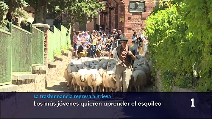  - Brieva de Cameros celebra su Fiesta de la Trashumancia para recordar su tradición pastoril que forma parte de la identidad cultural de la sierra riojana