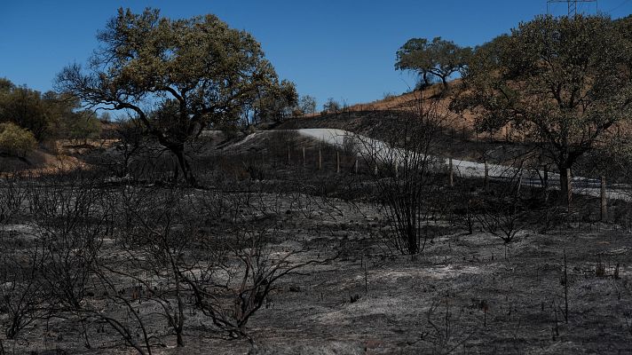Telediario 1 - El fuerte viento complica las labores de extinción del incendio en Villanueva de Los Castillejos, Huelva