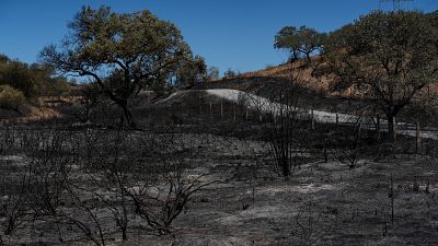 El viento dificulta la extinci�n del fuego en Villanueva de los Castillejos | Ver
