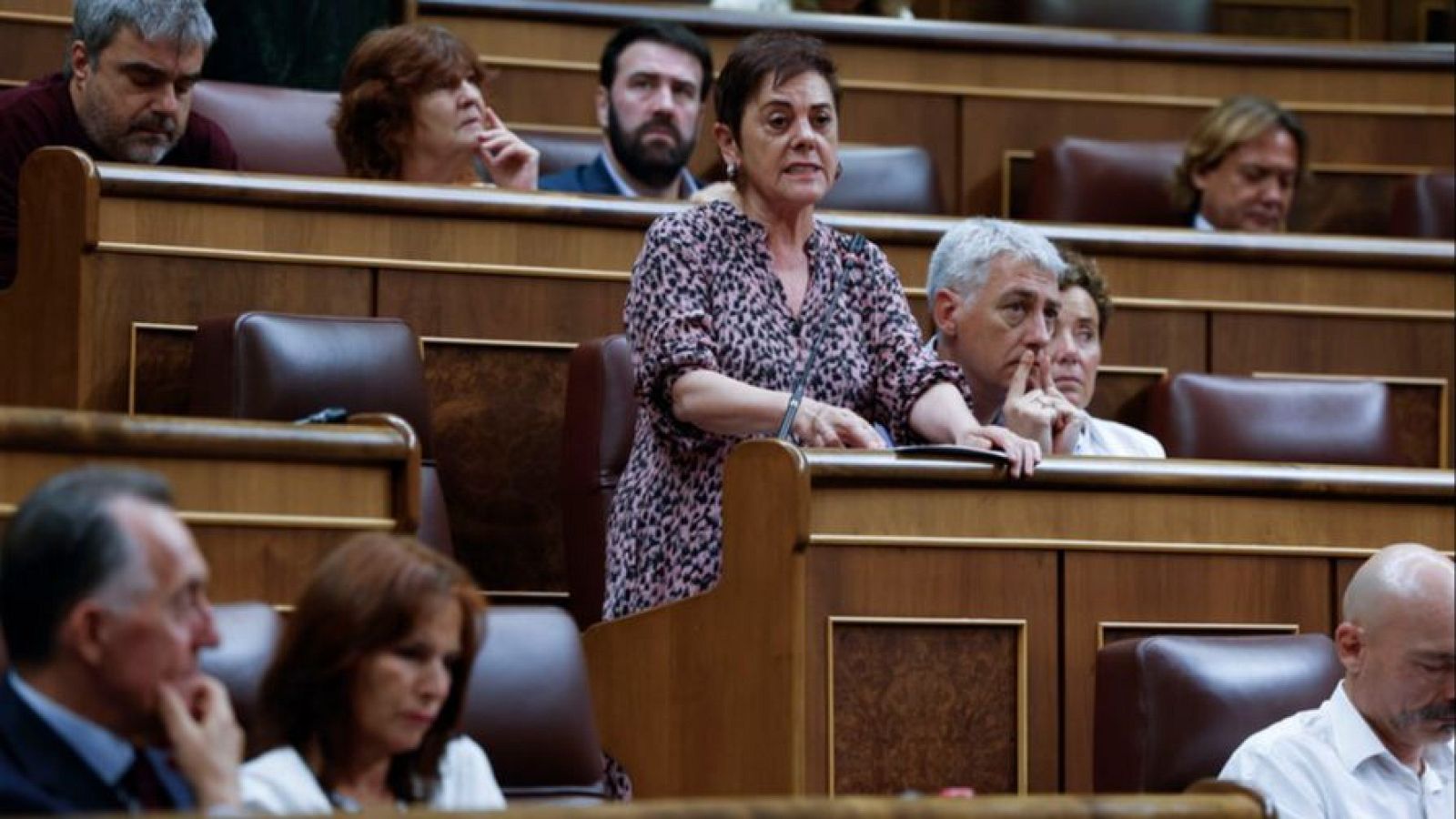 Aizpurua, a Sánchez: "Limitarse a resistir será un fracaso" - Informativo 24h | Ver