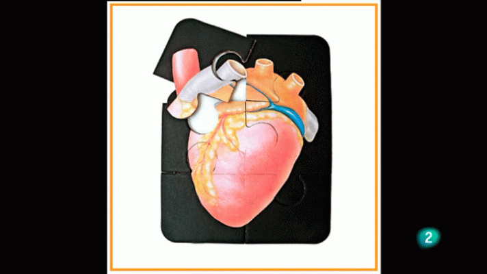 La aventura del Saber - Boek Visual.  Angels J. Sagués