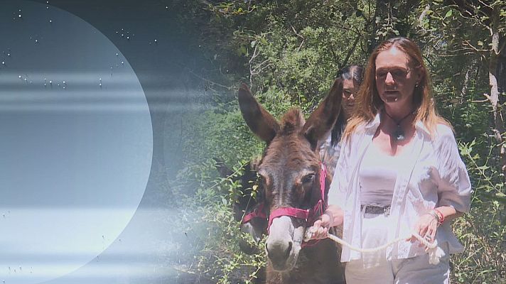 Noticias Andalucía - Mujeres trabajan con burros bomberos para prevenir incendios