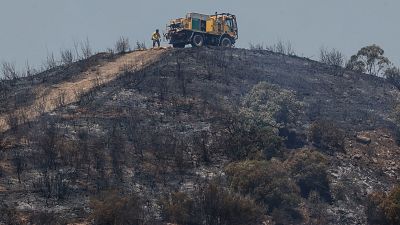 La UME se incorpora a las labores de extinci�n del incendio de Huelva - Telediario 1 | Ver