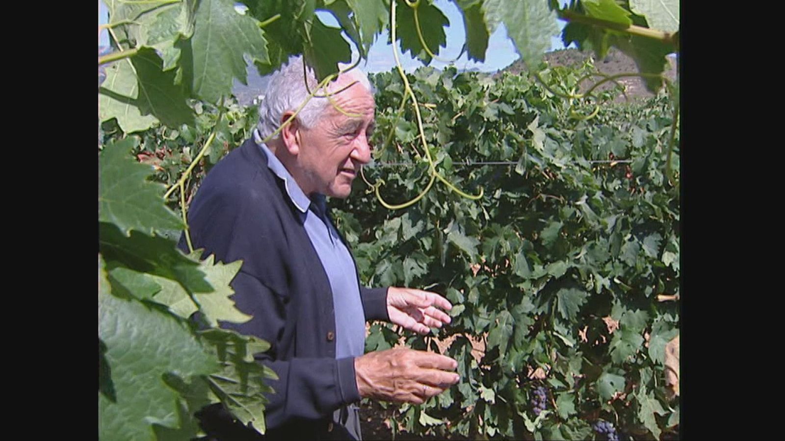 Manuel Ruiz, toda una vida dedicada al mundo del vino | Ver
