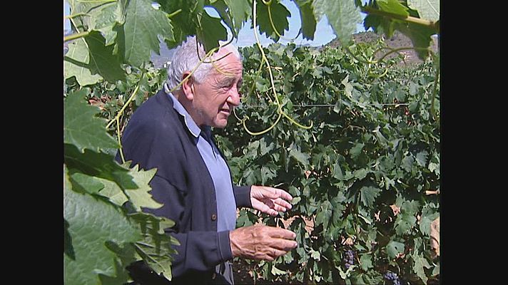 Informativo Telerioja - Manuel Ruiz, toda una vida dedicado a investigar, enseñar y fomentar la calidad en viticultura y enología