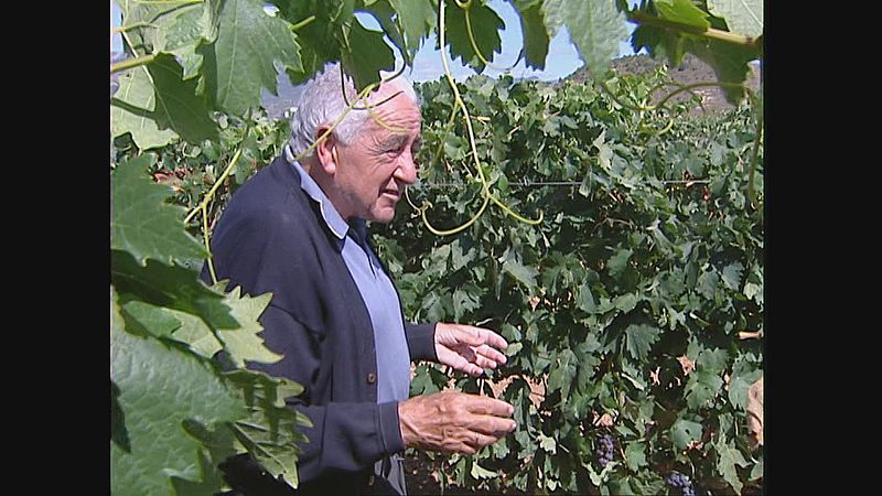 Manuel Ruiz, toda una vida dedicada al mundo del vino | Ver
