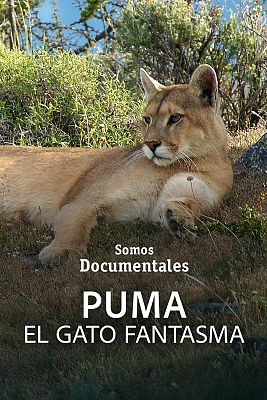 Somos Documentales - Puma: el gato fantasma