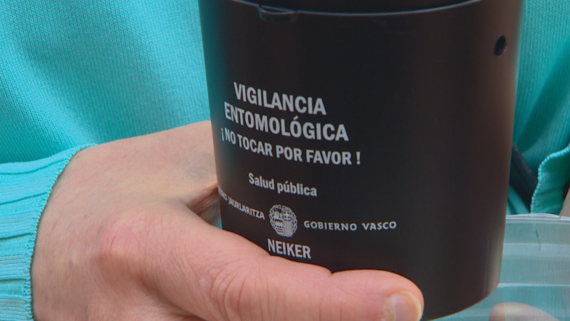 El centro tecnológico Neiker y ayuntamientos vascos presentan una guía para la prevención y control del mosquito tigre | RTVE Play - Ver ahora