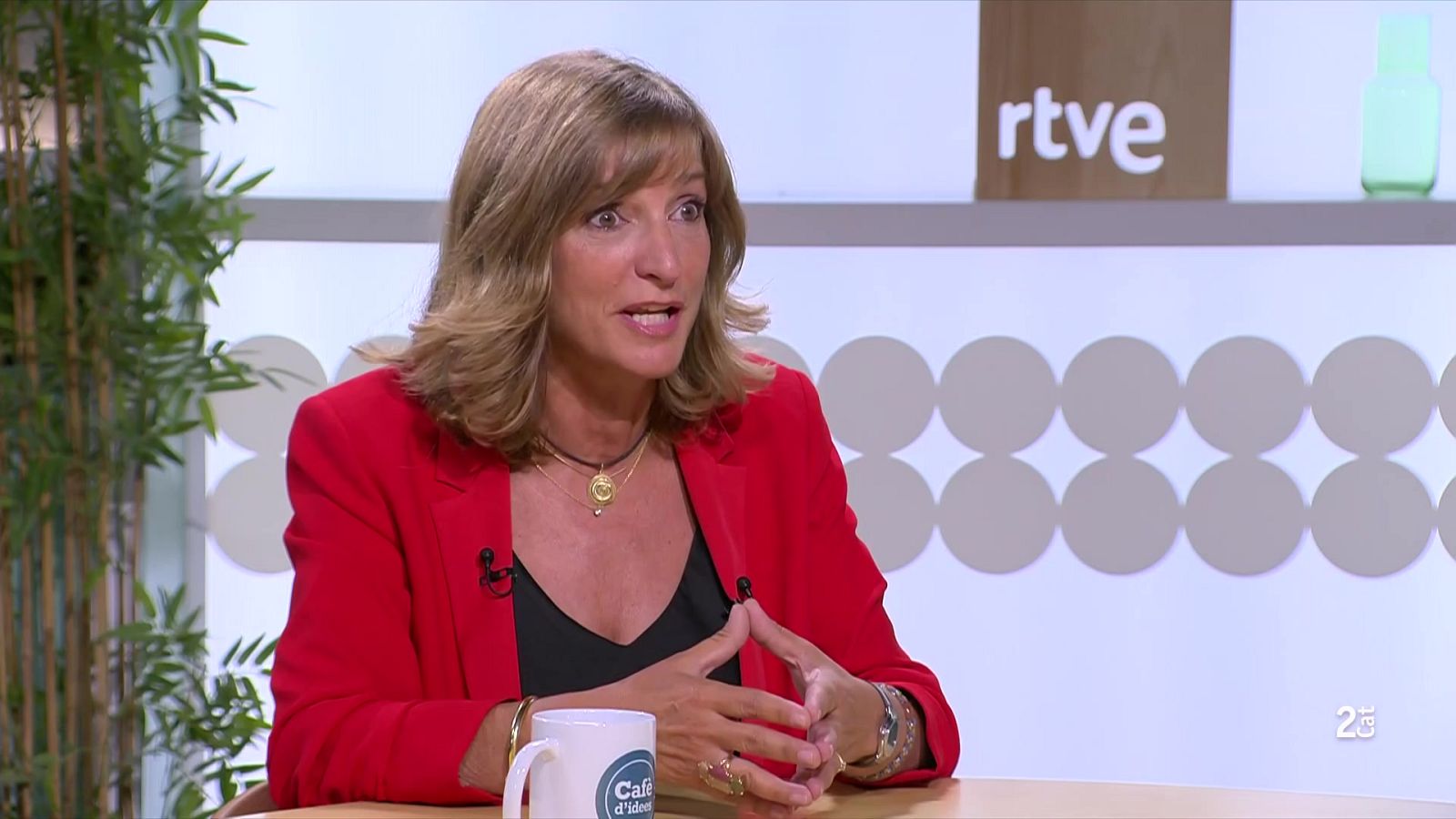 Glòria Freixa veu "efecte crida" al narcotràfic: "Venir a Catalunya surt gratis"