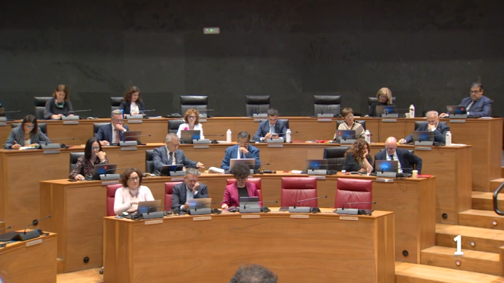 Telenavarra - El Parlamento de Navarra pide reconocer a las víctimas de esterilización forzada