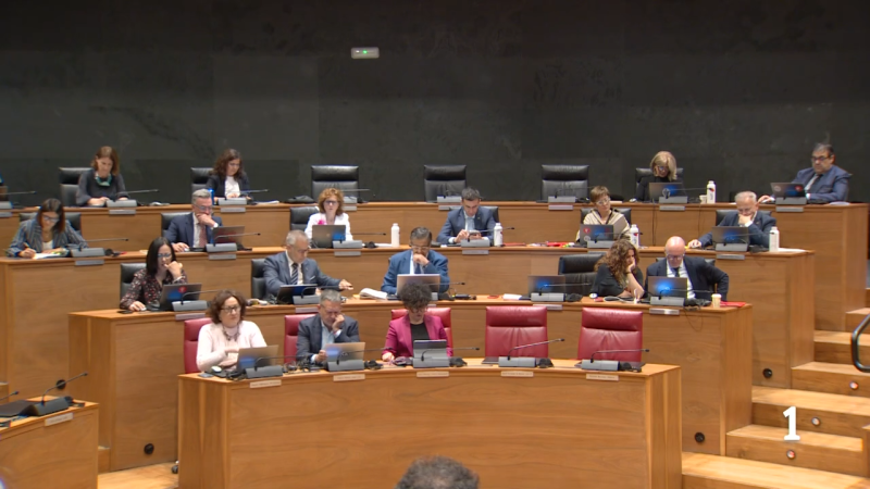El Parlamento de Navarra pide reconocer a las víctimas de esterilización forzada - Telenavarra | Ver